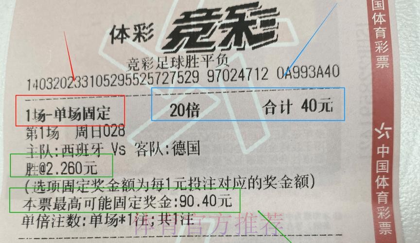 2026世界杯：中国体育彩票购买的机会与风险分析